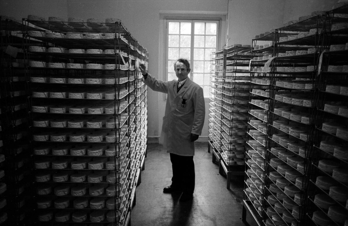 Un homme contrôlant les fromages de la laiterie